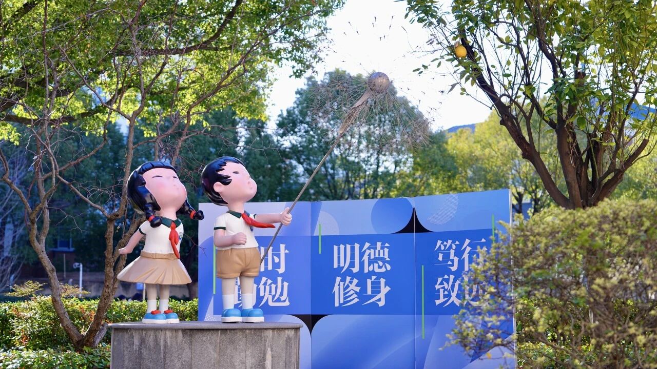 2026年普陀区义务教育阶段招生部分公办初中电脑派位报名系统网址及操作指南